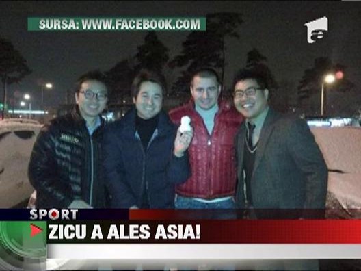 Zicu, se simte bine printre coreeni