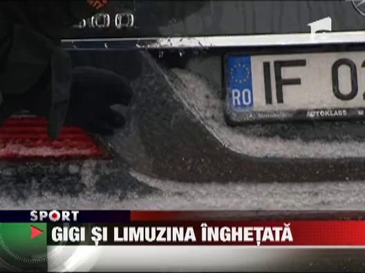 Gigi Becali si limuzina de gheata