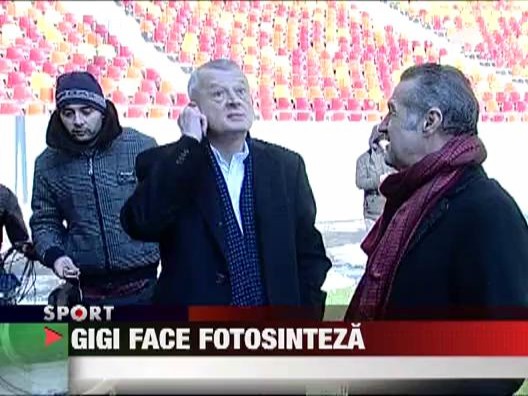 L-a apucat fluieratul cand a vazut iarba de pe gazon