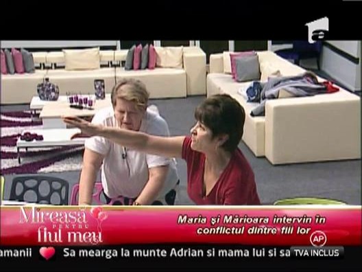 Tachinari intre Adrian si Andrada