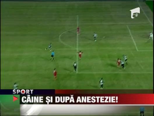 Cristi Borcea nu a avut voie sa vada meciul