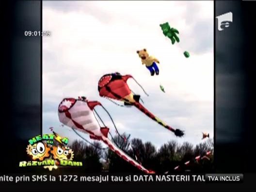 Festivalul international al zmeelor &bdquo;Black Sea Kite Festival&rdquo;