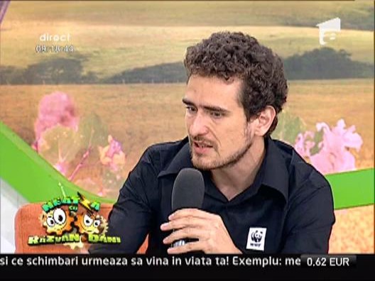 Afla aici ce alimente cumpara romanii cel mai des din supermarket!