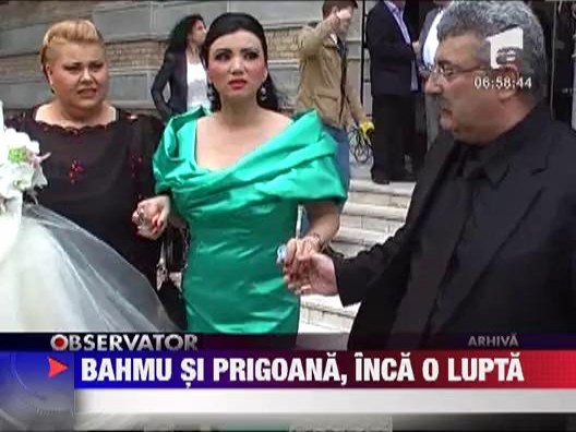 Adriana Bahmuteanu, "cercetata disciplinar" la firma lui Silviu Prigoana