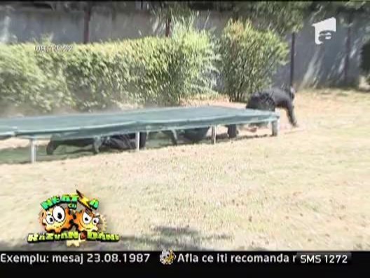 Mascatii si-au incordat muschii in Cupa Structurilor de Interventie din Politia Romana