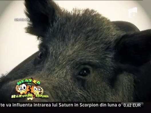O noapte la muzeul Antipa