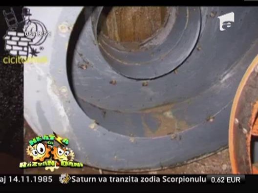 Ce inseamna meseria de cosar