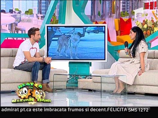 Cat timp trebuie sa stea un caine alaturi de mama lui