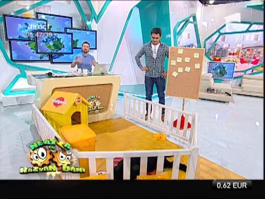 Echipa de la Neatza cauta nume pentru catelul emisiunii