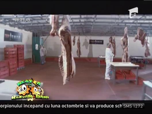 Nicolai Tand prezinta ultimele noutati din show-ul Top Chef