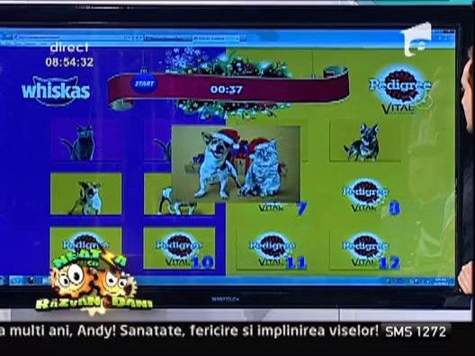 Echipa de la Neatza te premiaza