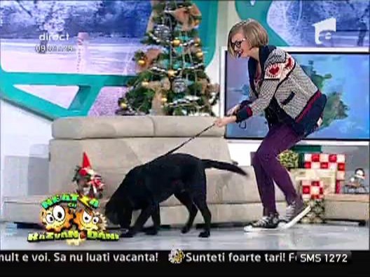 Mars a revenit la Neatza