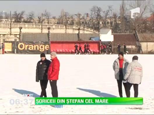Gigi Becali ii ironizeaza pe cei din Stefan cel Mare