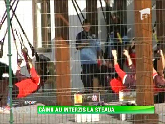 Stelistii le-au interzis dinamovistilor chiar si in Spania!