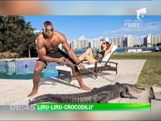 Colosul Alistair Overeem imblanzeste si crocodili
