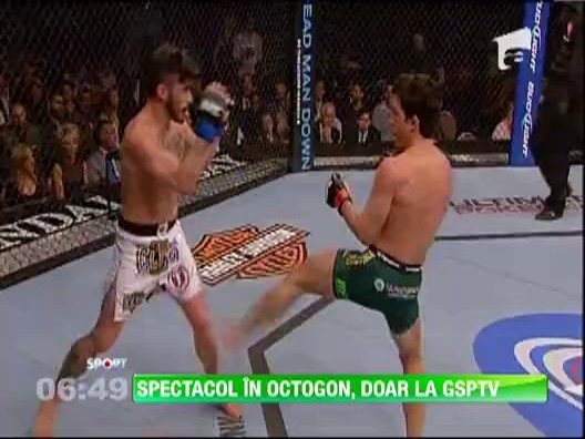 Spectacol in Octogon