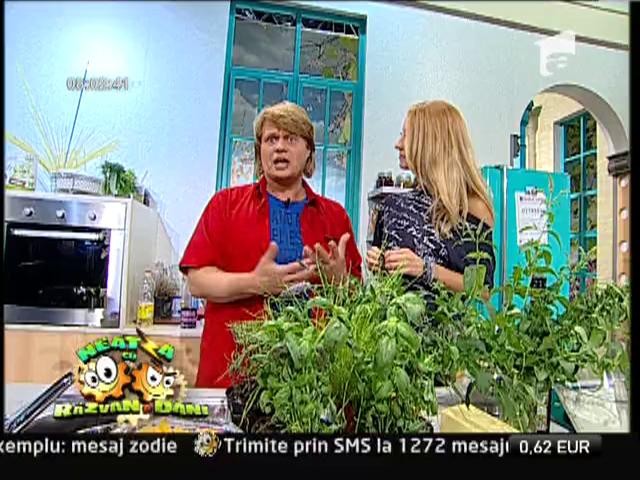 "Paste racoroase de vara"