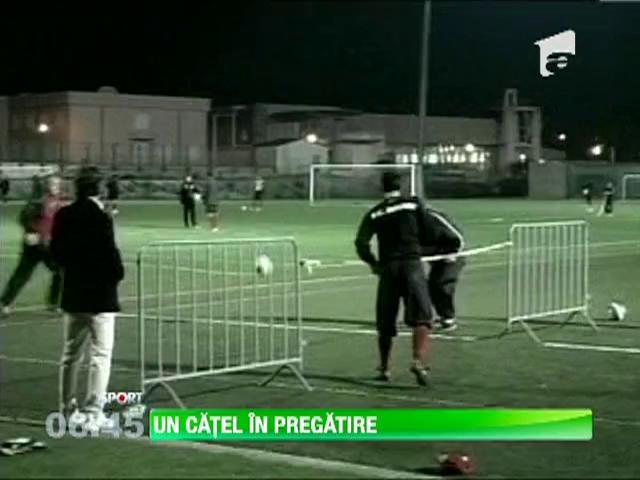 Fiul lui Negoita viseaza sa ajunga fotbalist