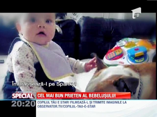 Bulldogul, cel mai bun prieten al bebelusului