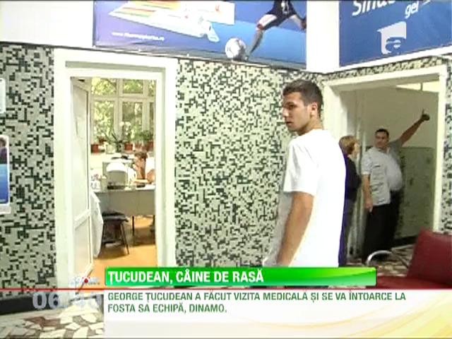 George Tucudean a revenit la Dinamo