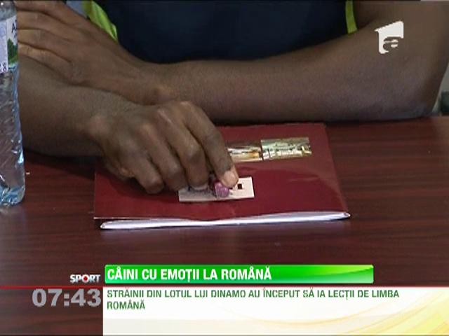 Negoita ii obliga pe strainii din haita sa invete limba romana