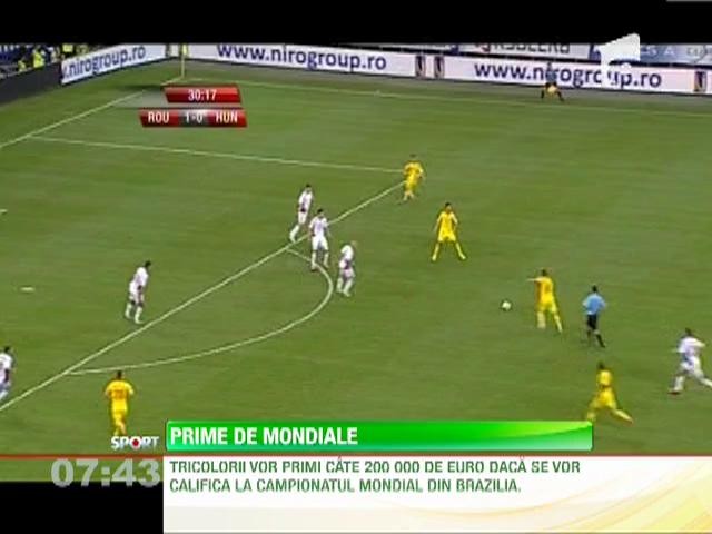 Mircea Sandu a marit prima de calificare la Mondialul din Brazilia