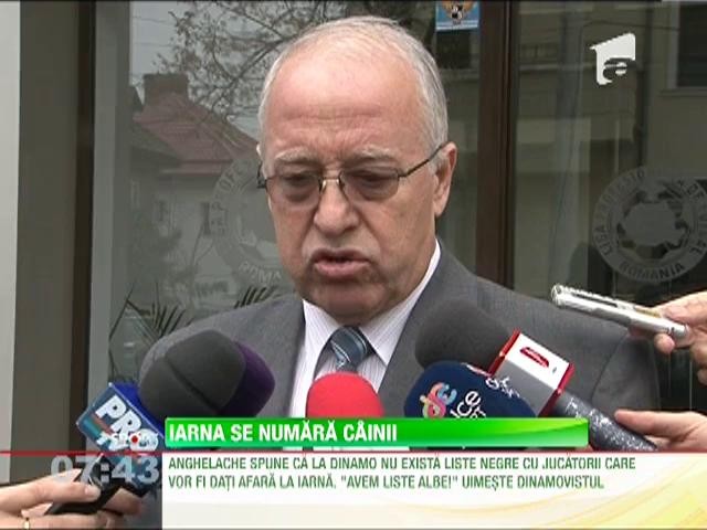 Dinamo &icirc;ncepe curăţenia de iarnă, &icirc;ncă din toamnă