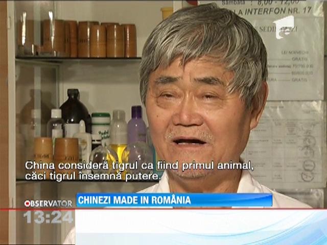 Zhu Rong Fu, maestru în arte marţiale, a dat China pe România ...