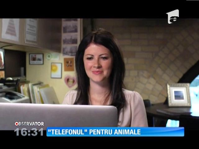 Animalele de companie pot fi hrănite prin... telefon