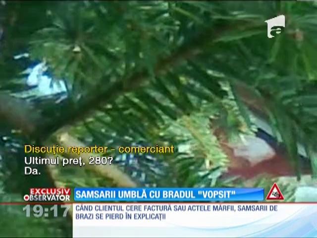 Speculantii &icirc;l fură şi pe Moş Crăciun! Bradul de la magazin ajunge  &icirc;n piaţă de trei ori mai scump