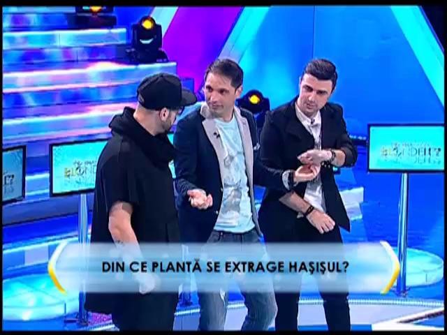 Runda 2: Din ce plantă se extrage haşişul?