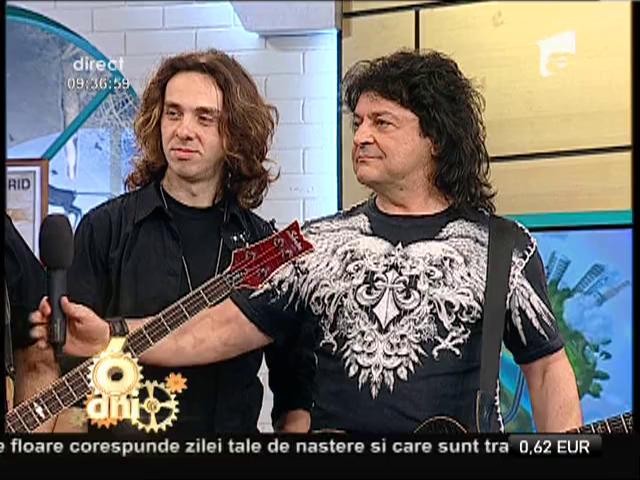 Compact, single nou
