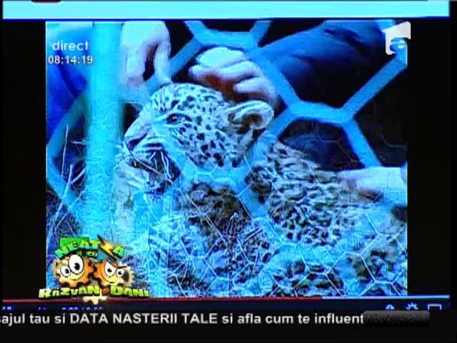Smiley News: Vladimir Putin a facut scufundari si descoperiri arheologice in peninsula Taman