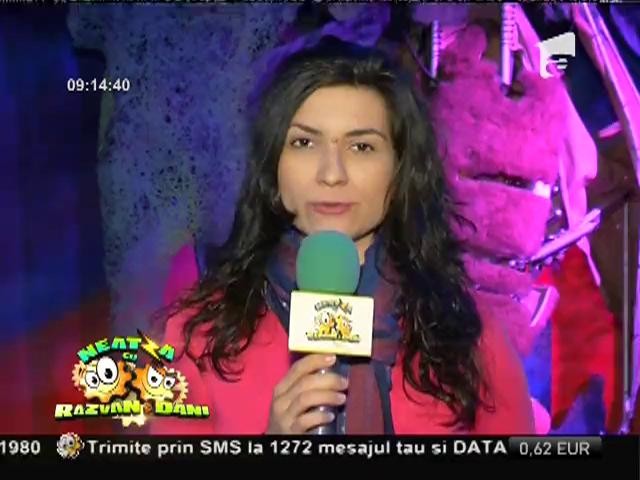 Vedetele expoziţiei de roboţi rom&acirc;neşti din Capitală