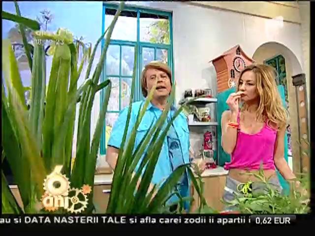 Rizotto cu parfum de primăvară