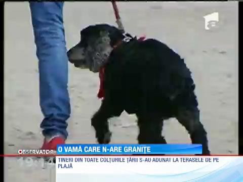 Vamaioții nu ținut cont de vremea mohor&acirc;tă