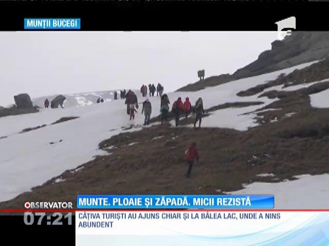 Grătarele s-au &icirc;ncins şi pe zăpadă! Micii au sf&acirc;r&acirc;it, vinul a curs iar turiştii s-au bătut cu bulgări