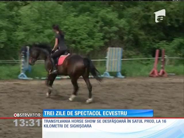 Transylvania Horse Show, cel mai important concurs internaţional de echitaţie din Rom&acirc;nia