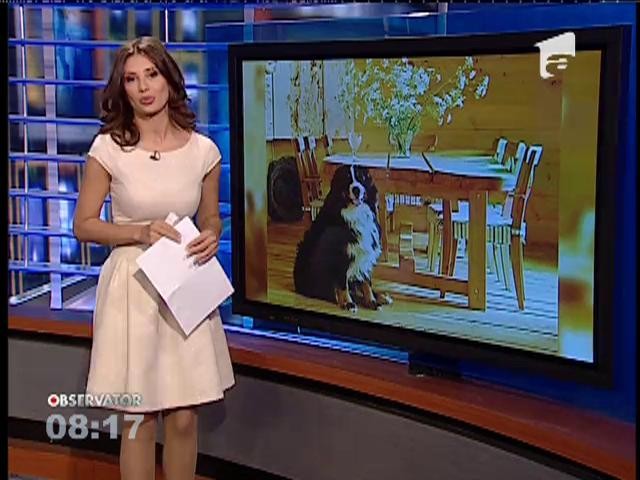 &Icirc;n Rom&acirc;nia a fost ridicată prima fermă 100% ecologică din Munţii Carpaţi