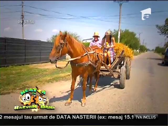 Cum &icirc;și petrec vacanța de vară la oamenii de la sat