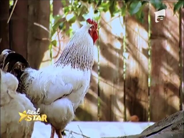 Andreea Bologa este patroană de grădină zoologică!