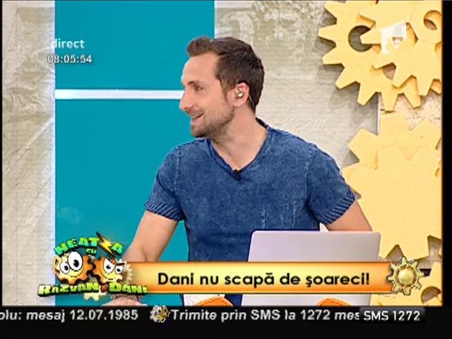 Dani nu a scăpat, &icirc;ncă, de șoricei!