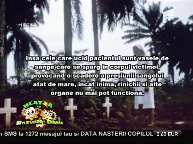 Bună dimineaţă, sănătate! Totul despre virusul EBOLA