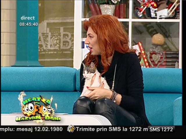 Candice Dragotă, crescătoare de pisici