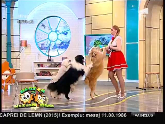 &Icirc;nvitație la Galele Circului, ediția a-XI-a