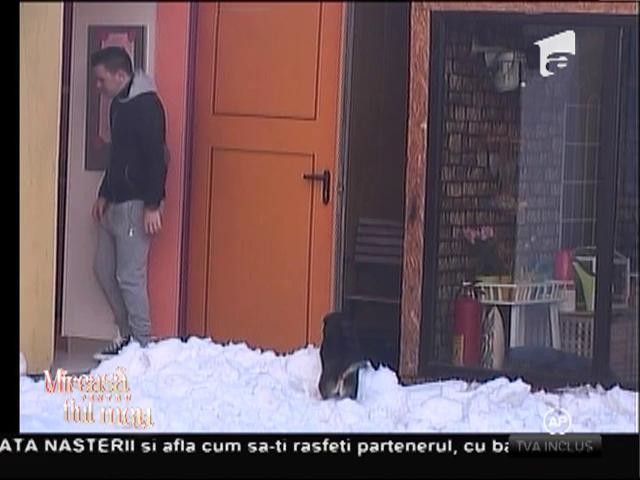 Cățelușul adoptat de băieți, tratat regește de concurenți