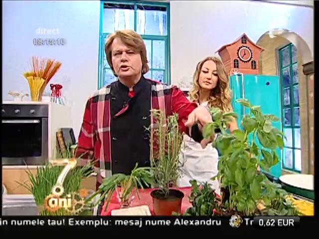 Oricine poate prepara m&acirc;ncarea asta! Paste penne, mentă, br&acirc;nză albastră şi parmezan, &icirc;ntr-o combinaţie DEMENŢIALĂĂĂ