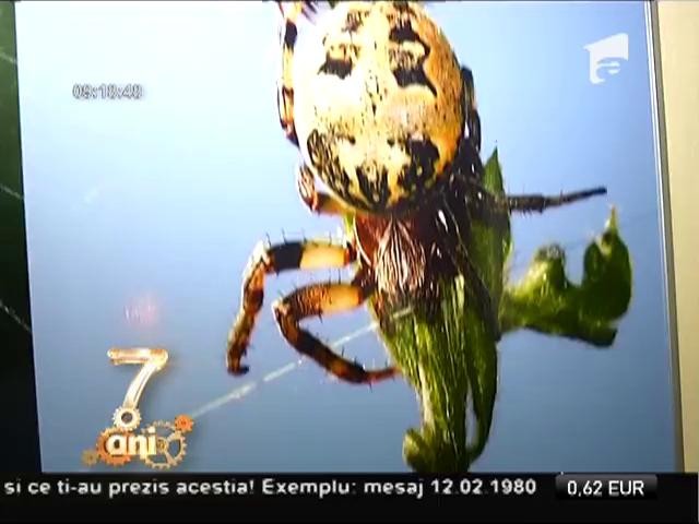 Muzeul "Grigore Antipa", gazda unei expoziții de păianjeni și scorpioni vii