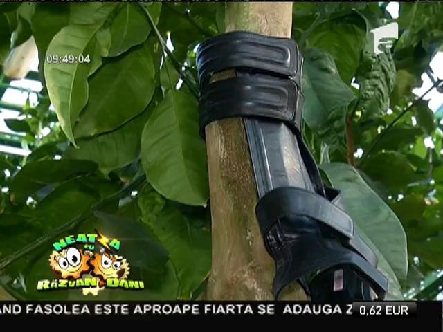 Moda &icirc;n 2015. Ce &icirc;ncălțăminte se poartă &icirc;n sezonul primăvară-vară