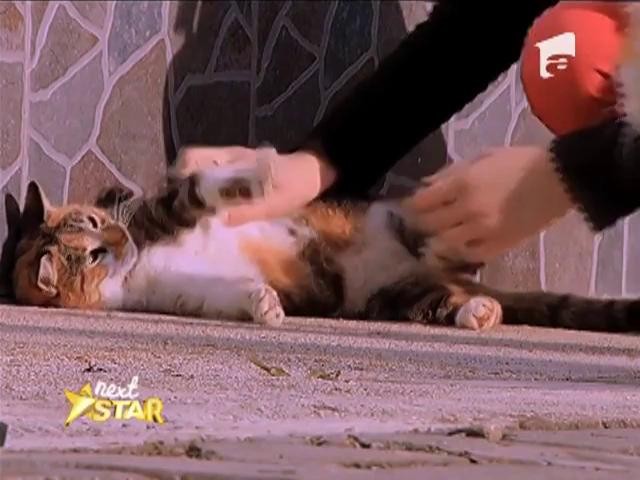 Prezentare: Ioana M&icirc;rți - 13 ani, Pildești, Neamț